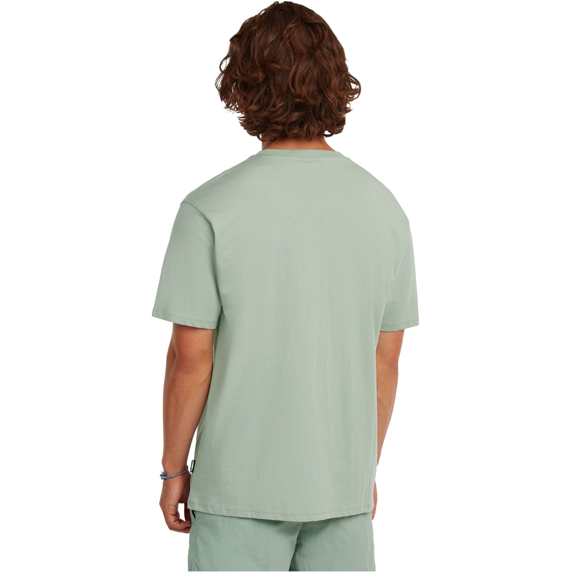 2026 O'Neill Mens Small Logo T-Shirt 2850371 - Marble Arch
